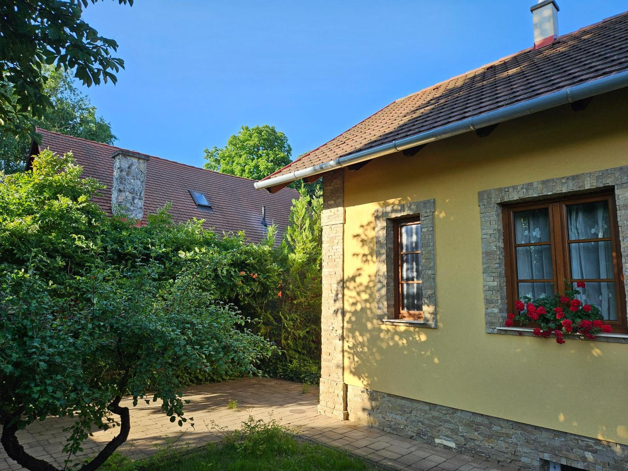 Duzzogo Vendeghaz Agard Villa Gardony Exterior photo
