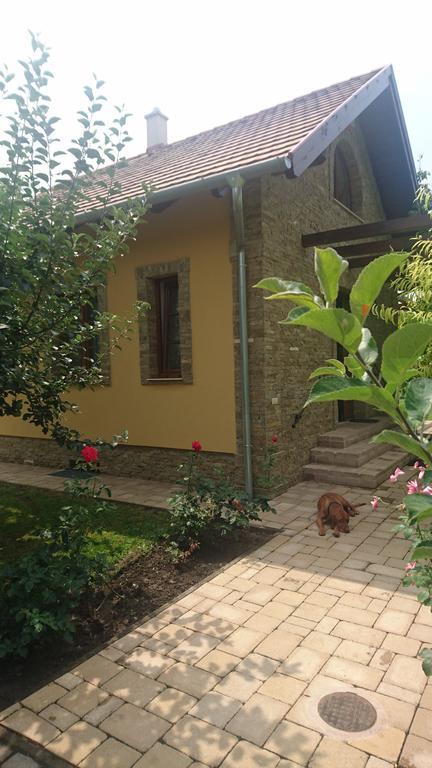 Duzzogo Vendeghaz Agard Villa Gardony Exterior photo